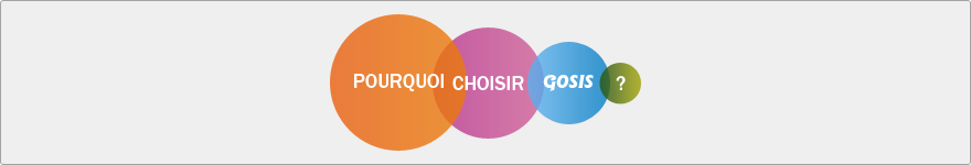points forts cloud computing gosis
